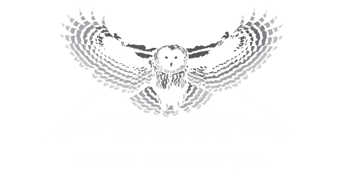 Grey Eyed Owl