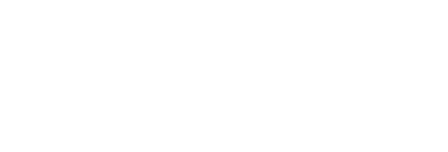 Grey Eyed Owl